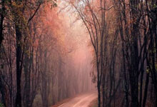 365完美:文化新观察·年度文化亮点丨扎根现实、创新表达,满足电影市场多样化需求.