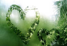 全明星正赛:库里MVP 塔图姆绝杀奥尼尔队夺冠.