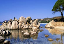 365完美:六台报西班牙训练情况:费兰缺席,但他会随队前往荷兰.